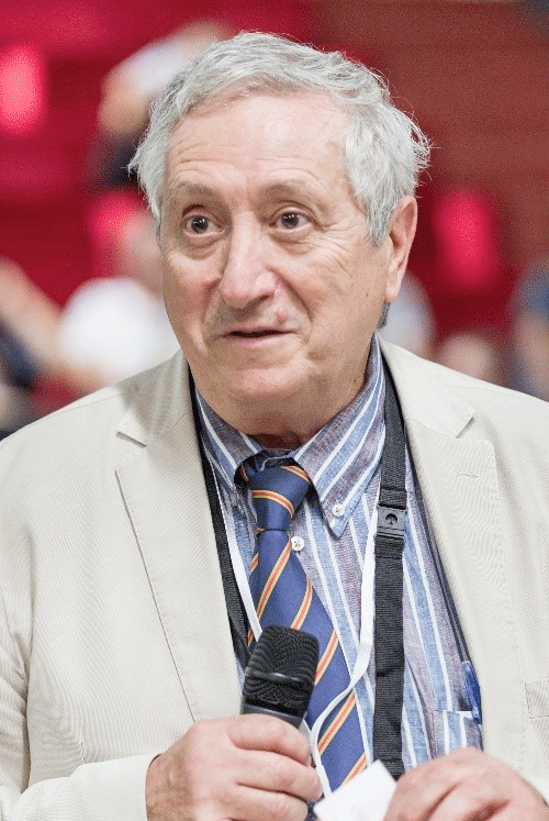 Emeritus Professor of Organic Chemistry at Ca’ Foscari University of Venice